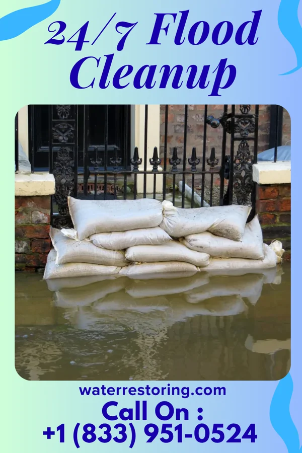 24/7 Flood Cleanup in Leisure Village, NJ