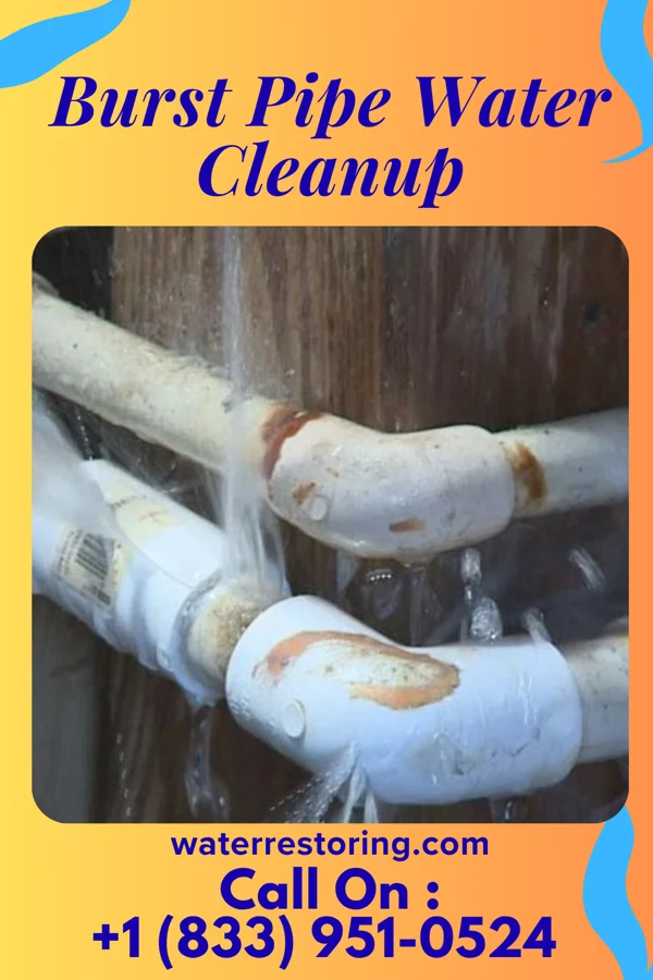 Burst Pipe Water Cleanup in Leisure Village, NJ