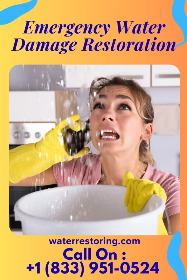 Emergency Water Damage Restoration in Leisure Village, NJ