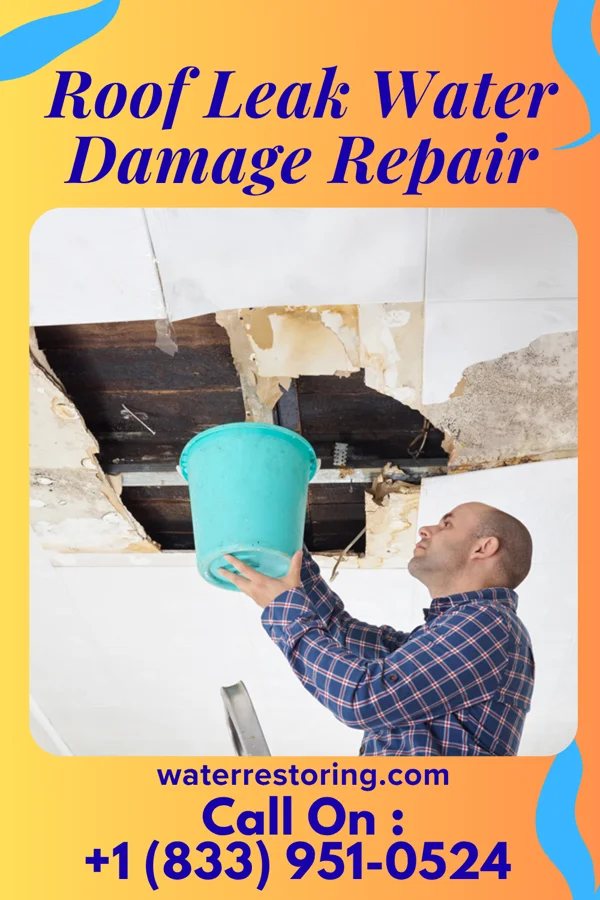 Roof Leak Water Damage Repair in Leisure Village, NJ