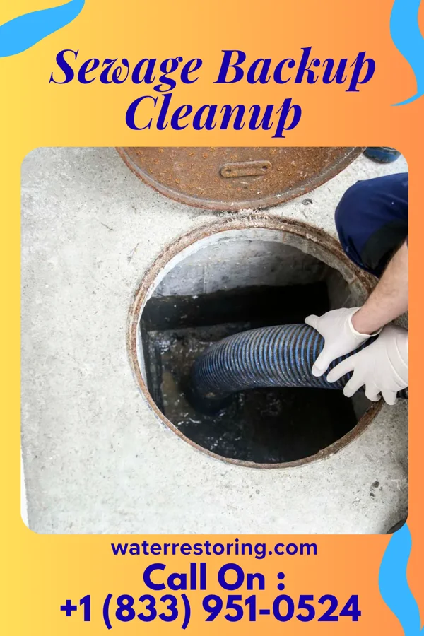 Sewage Backup Cleanup in Leisure Village, NJ