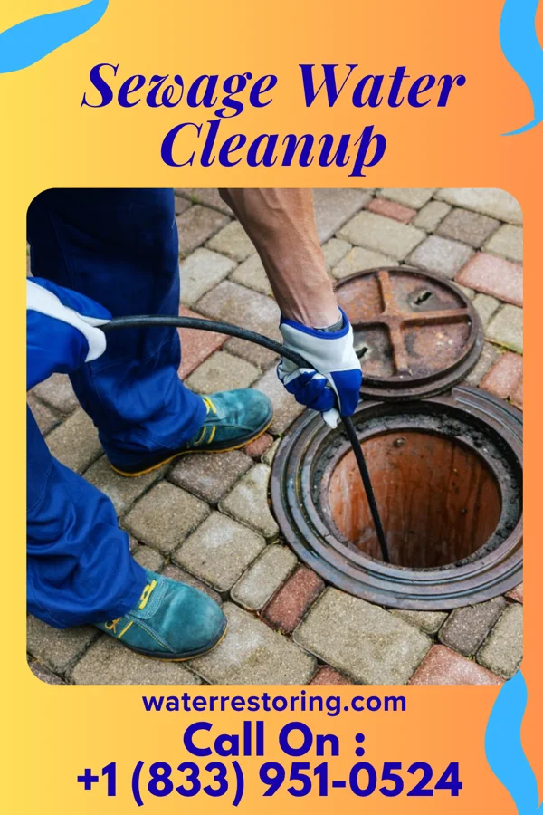 Sewage Water Cleanup in Leisure Village, NJ